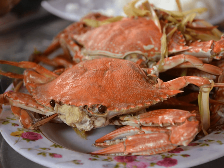 Snow Crab VS King Crab VS Dungeness Crab (Compared)