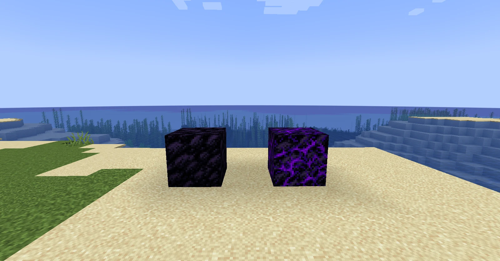 Two different kinds of Minecraft blocks