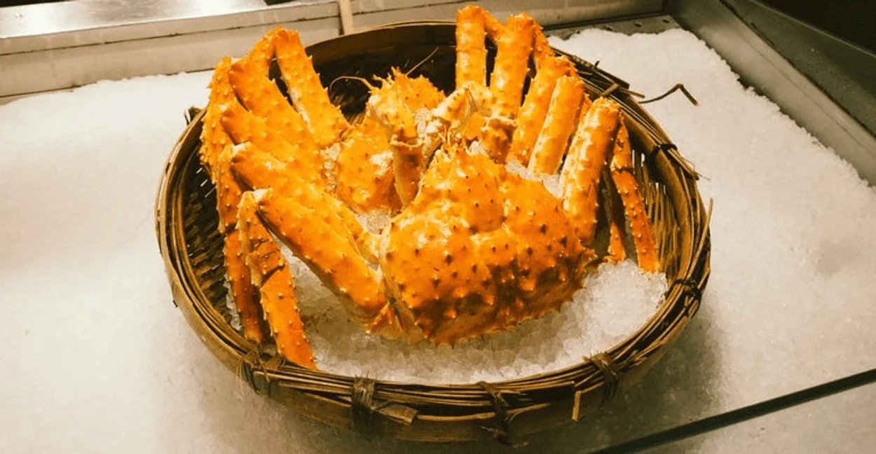 Snow crab and their long legs