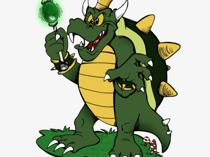 Difference between Bowser and King Koopa (Mystery solved)