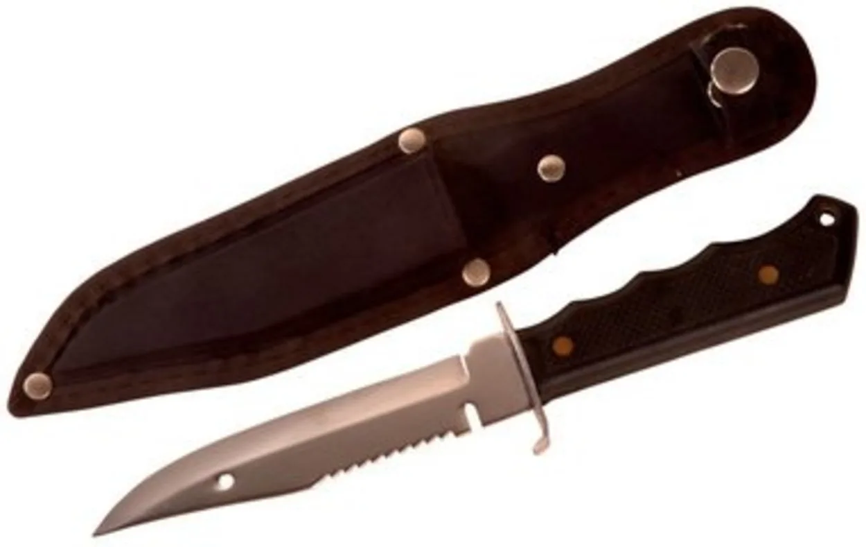 A scabbard next to a knife