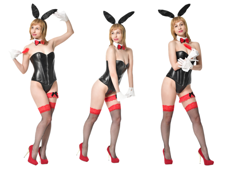 Do You Know The Difference Between Being A Playboy Playmate and A Bunny? (Find Out)