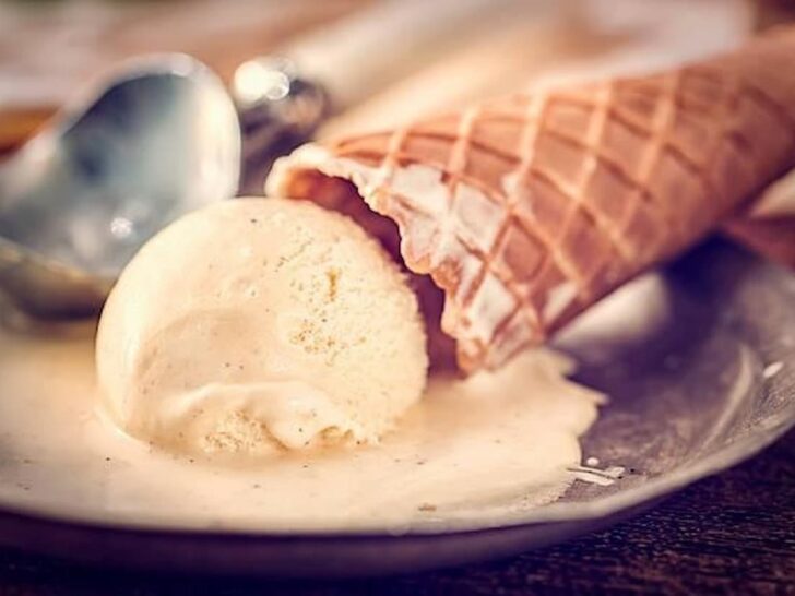 Classic Vanilla VS Vanilla Bean Ice Cream 