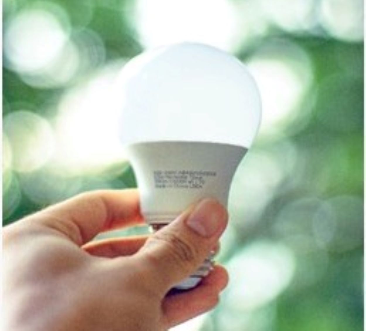 LED bulbs with higher Kelvin temperatures give off bluish-white light.