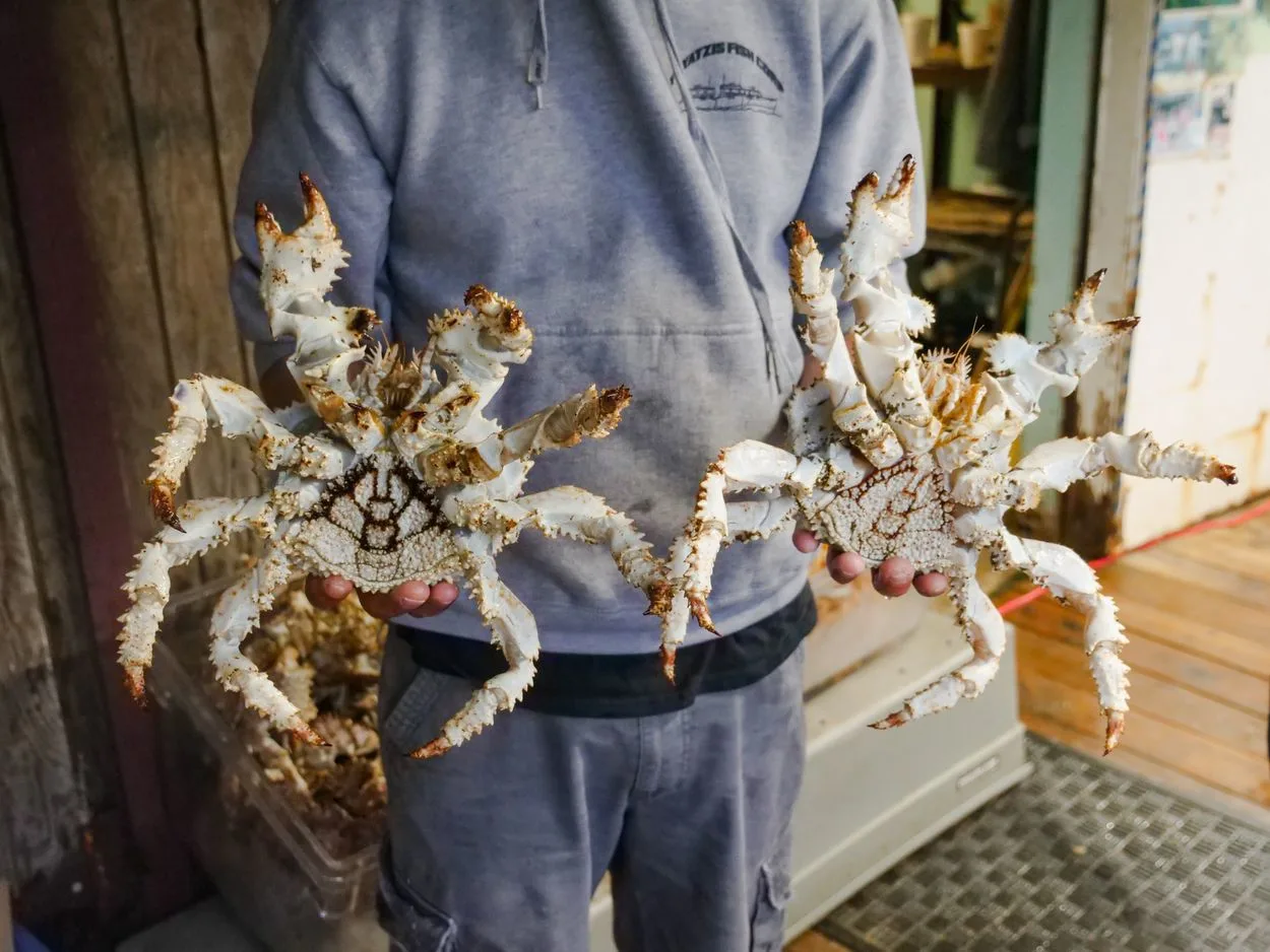 Interesting facts about King Crab