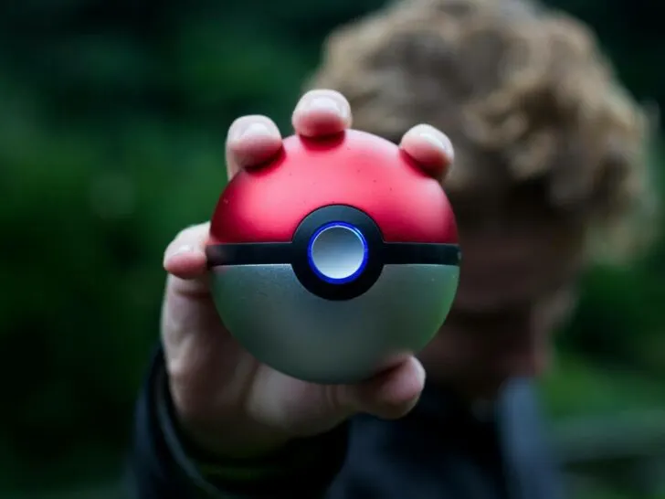 A picture of a poke ball.