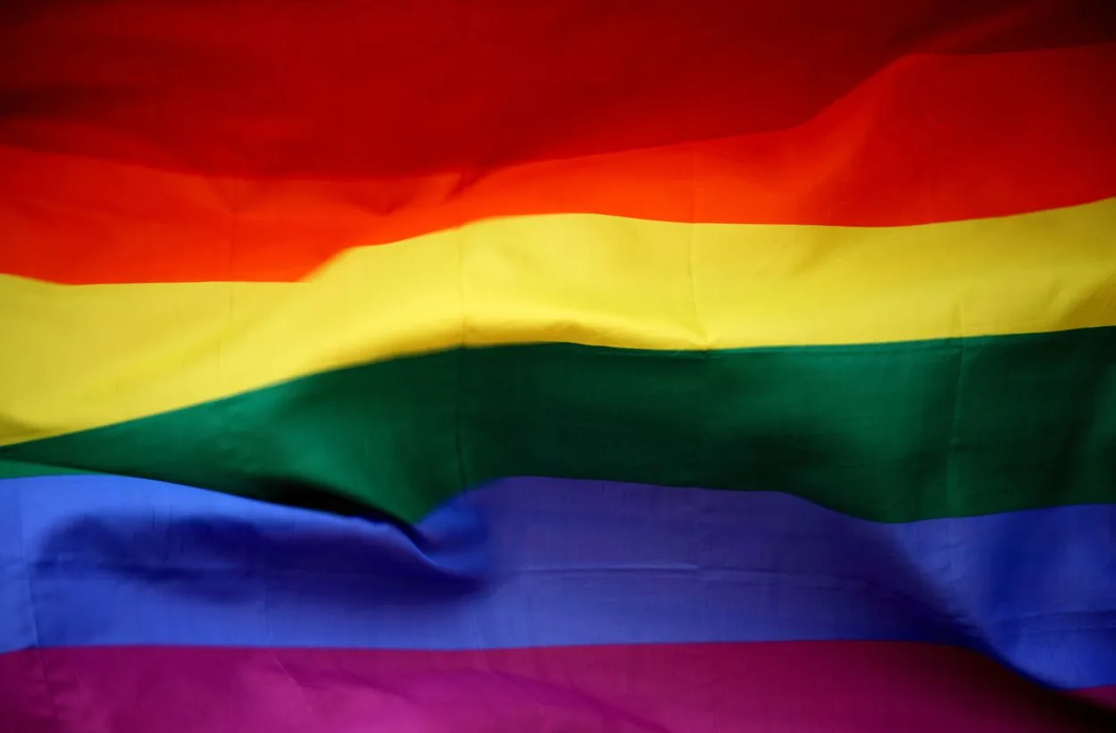 the LGBTQ flag