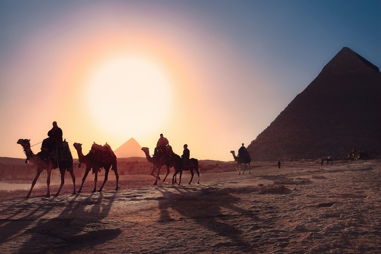 Camels walking past a pyramid