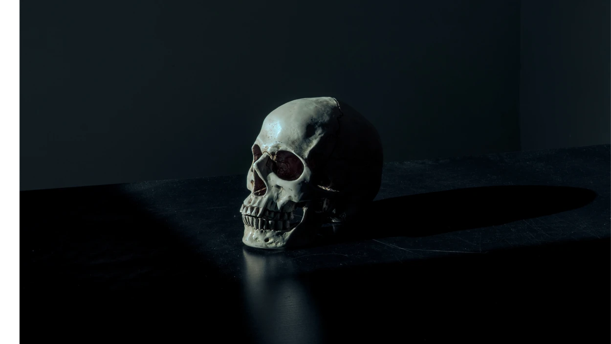 A skull on a black table