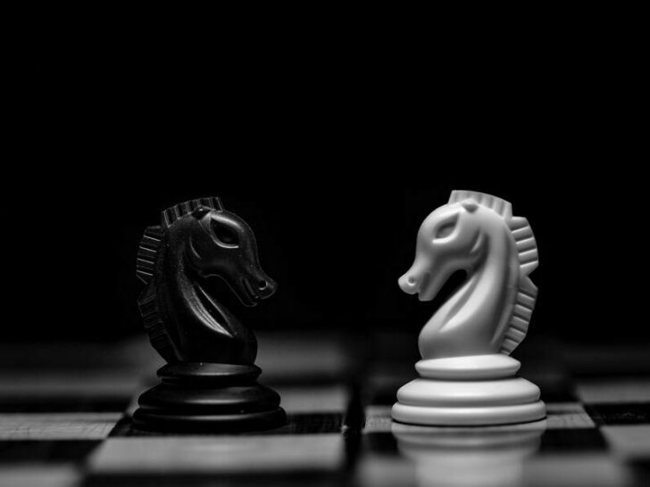 Strategists vs. Tacticians: Understanding Variances in Strategy
