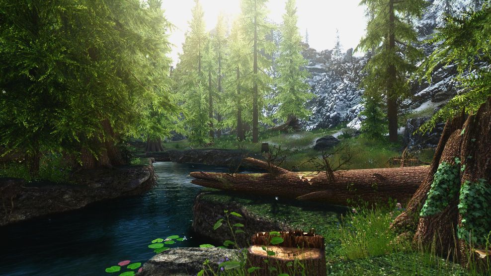 The image depicts the Skyrim landscape 
