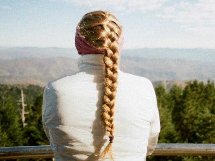 What’s The Difference Between French Braids & Dutch Braids?