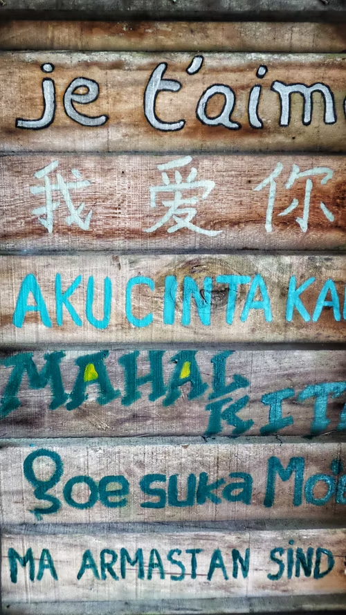 The sentence I love you written in multiple different languages on a wooden board.