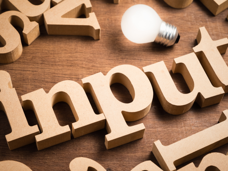Input or Imput: Which Is Correct? (Explained)