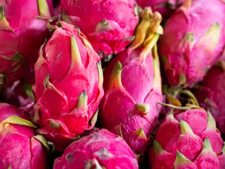 What is the Difference Between Purple Dragon Fruit and White Dragon Fruit? (Facts Explained)