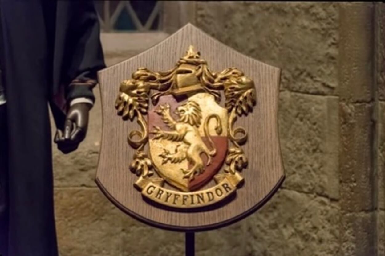 Students who are member of grryfindor are loyal and brave.