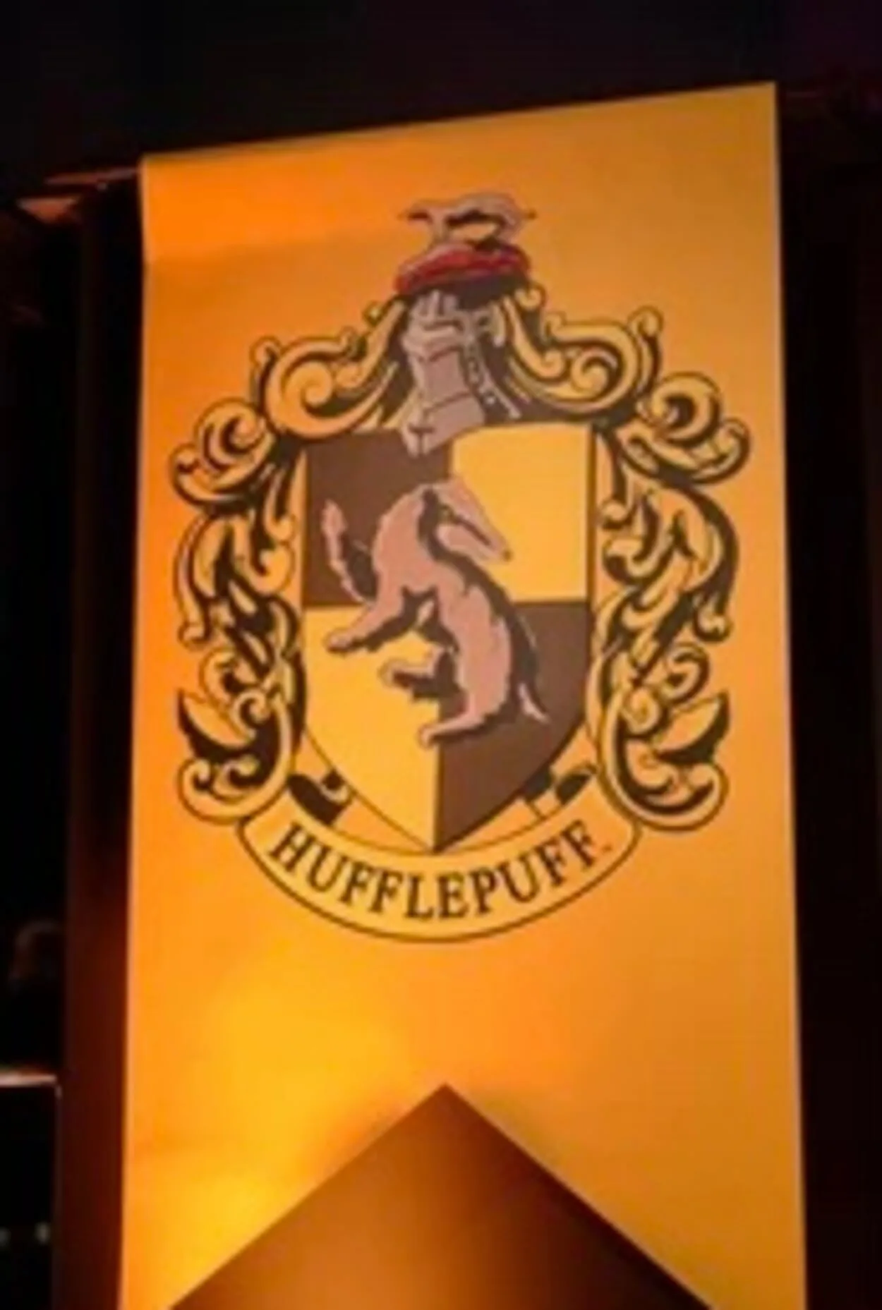 students who are member of hufflepuff are honest and hardworking.
