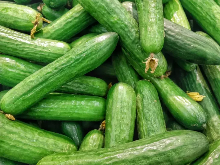 What is the Difference Between Cucumber and Zucchini? (Difference Revealed)