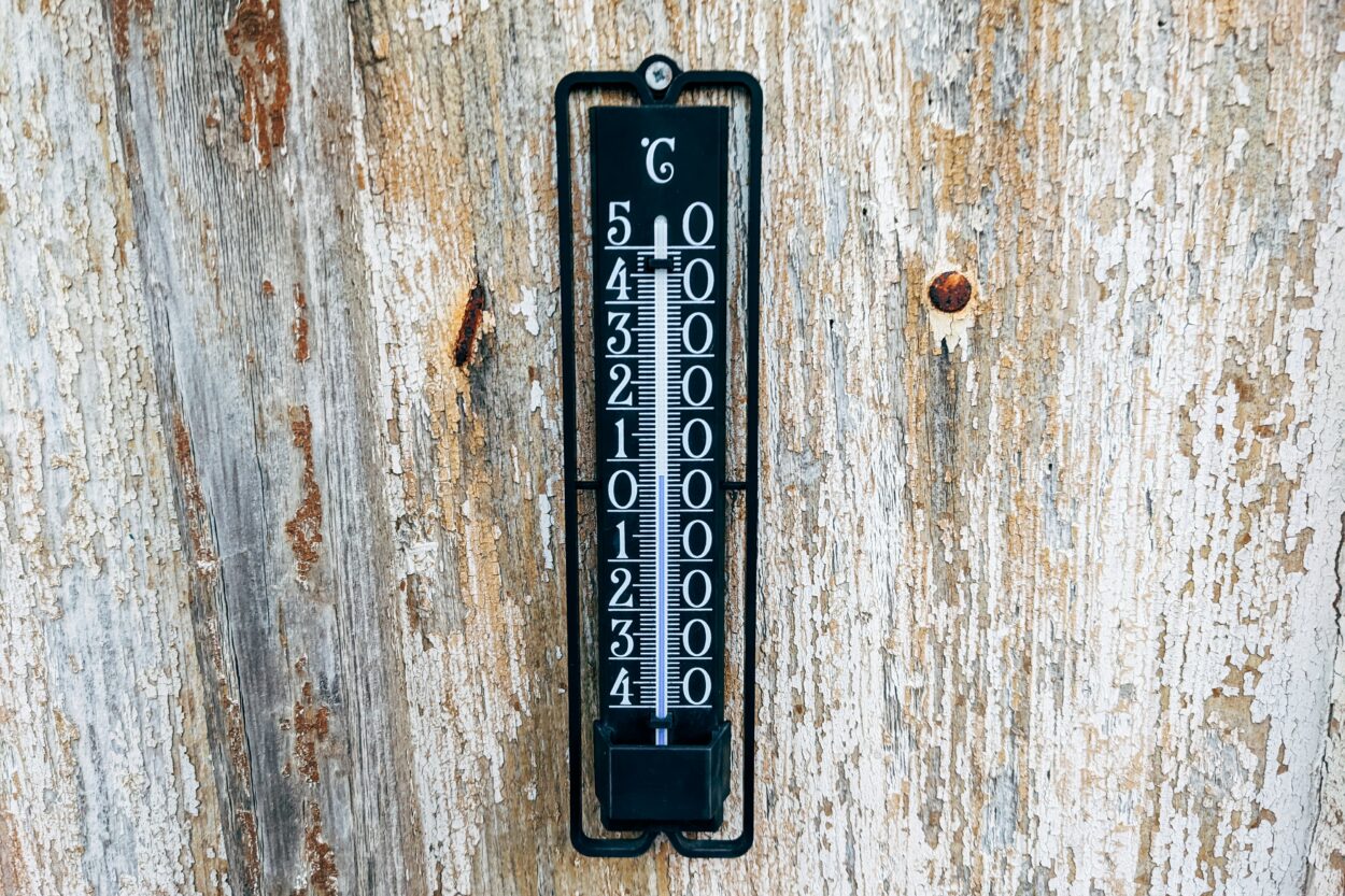 a thermometer on a tree