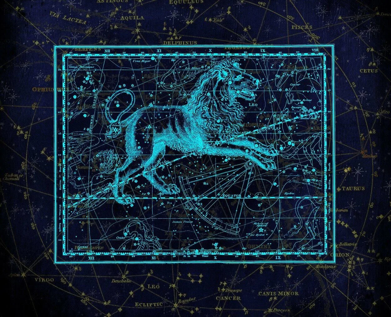 An image of a symbol of zodiac sign Leo.