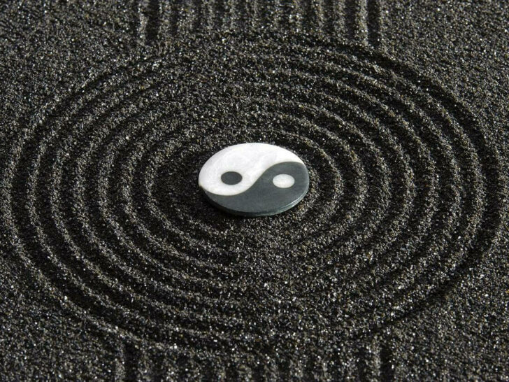 An image of a symbol of yin and yang.