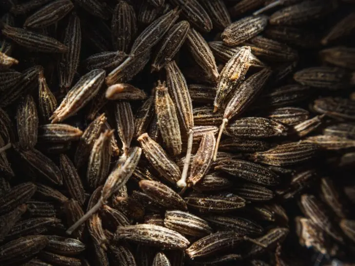 What is the Difference Between Cumin Seeds and Jeera Seeds?