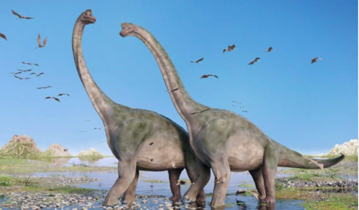 Diplodocus and Brachiosaurus