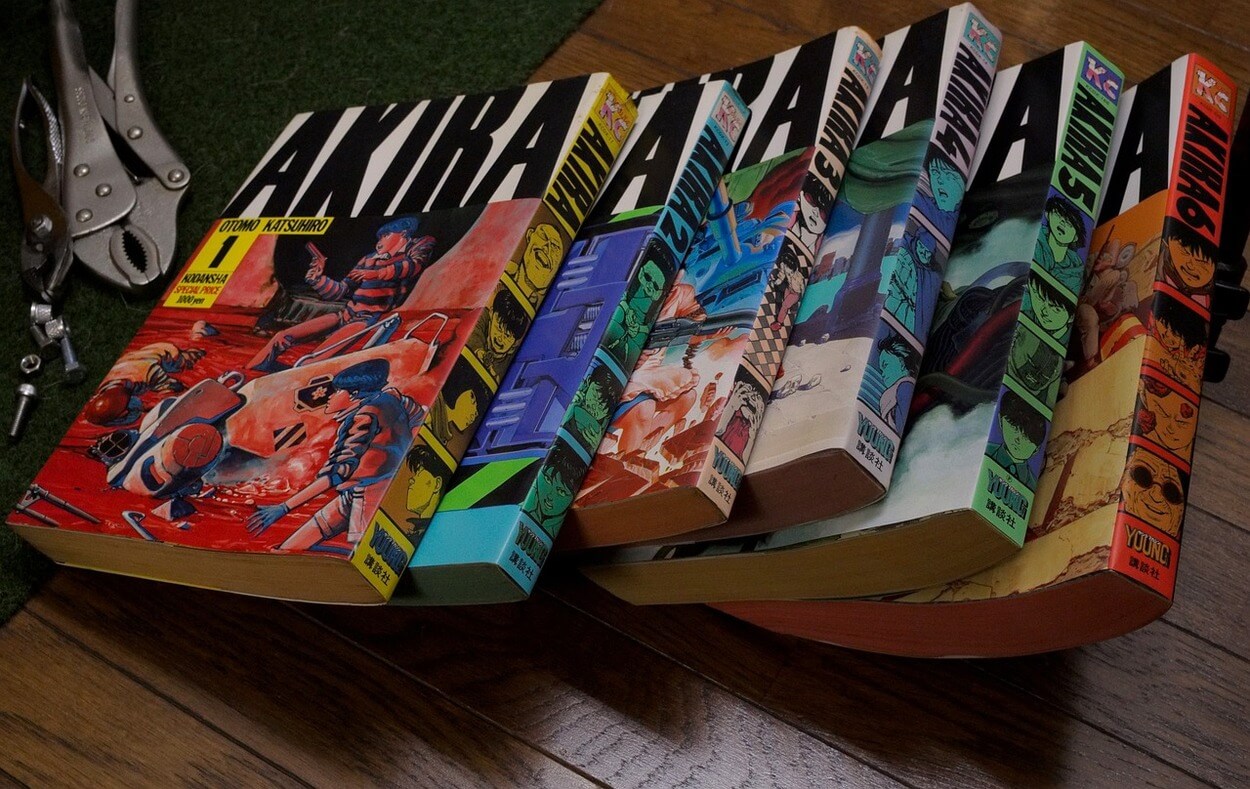 An image of a collection of light novels.