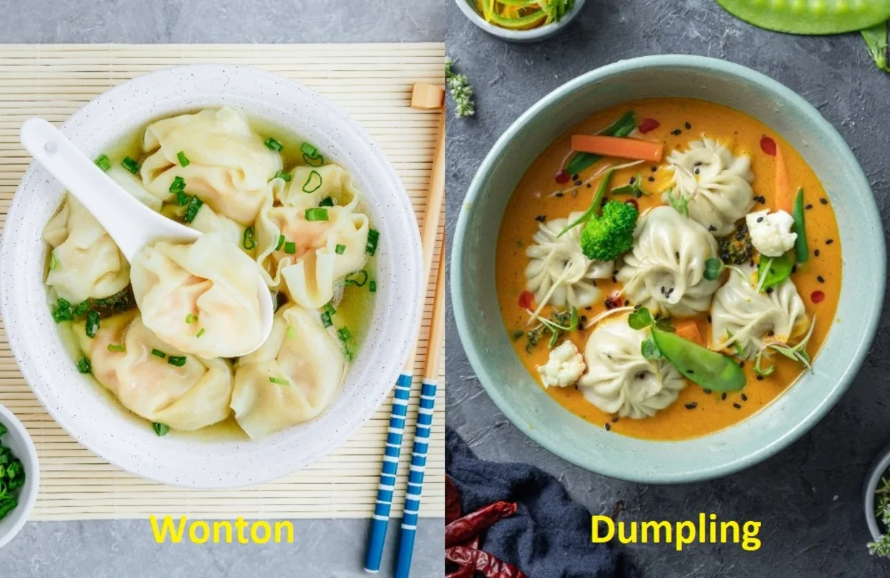 Difference between Wonton and Dumplings.