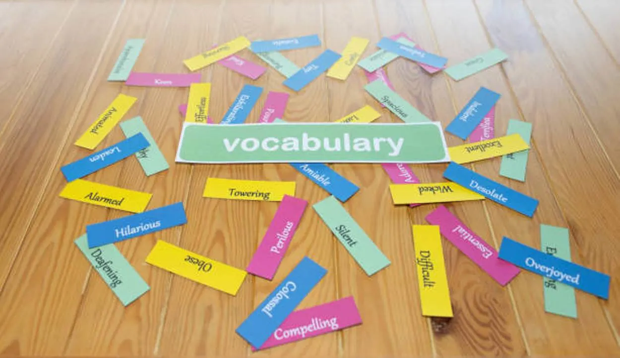 Image of vocabulary flashcards.