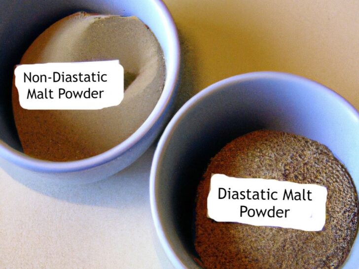 What Is The Difference Between Diastatic And Non-Diastatic Malt Powder? (Discover)
