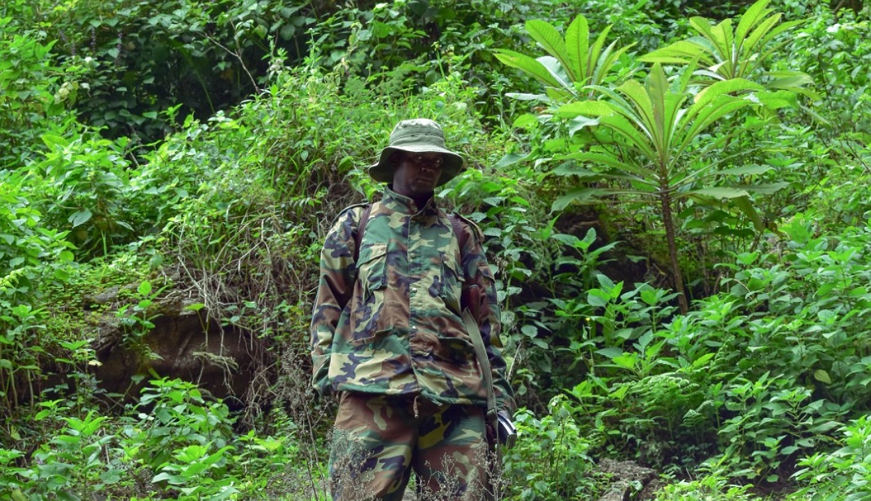 Force's soldier in the jungle