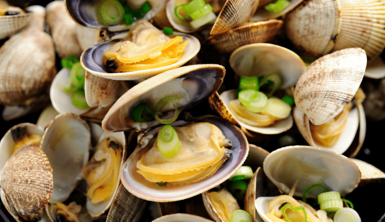 Mussel and clams