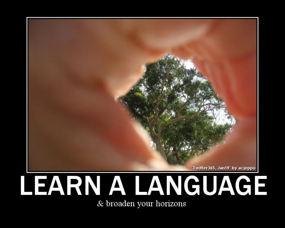 Image showing a quotation about importance of learning a language.