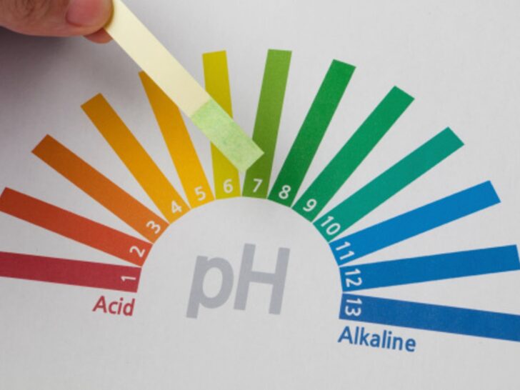 What Is The Difference Between pH And pKa? (Difference Cleared)