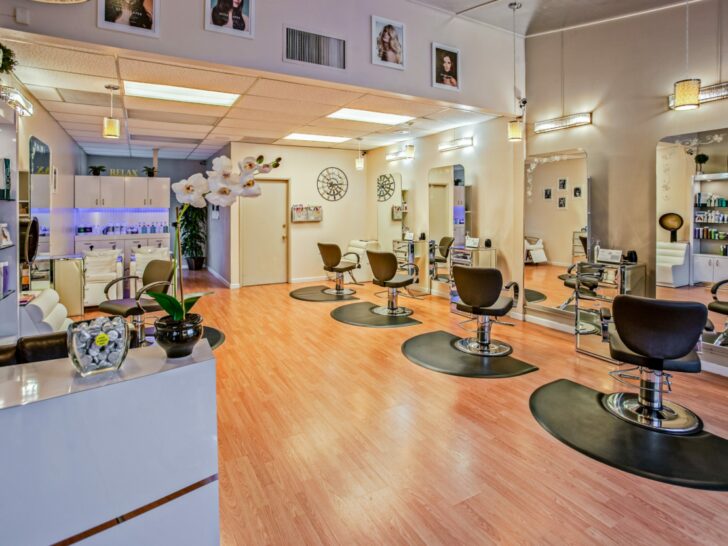 What Is The Difference Between A Salon And A Saloon? (Answered)