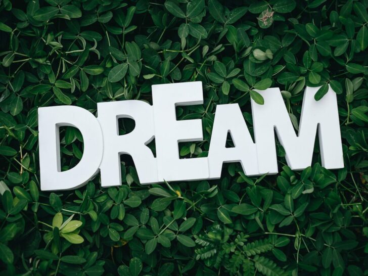 What Are The Differences Between Dreams And Aspirations? (Answered)