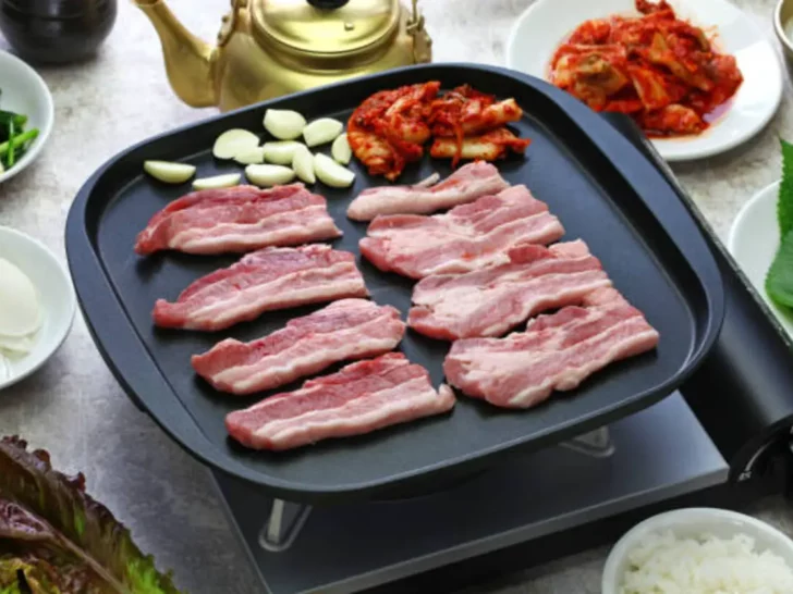 George Foreman Vs. Hamilton Electric Grill (Sizzling)