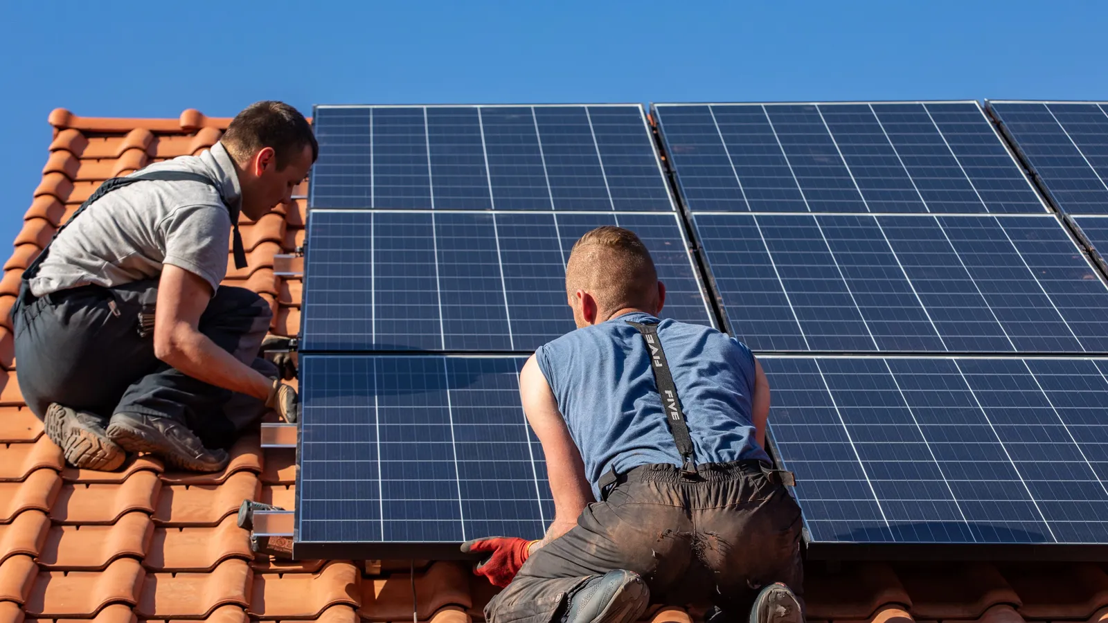 Is solar power or nuclear energy more sustainable for the future?